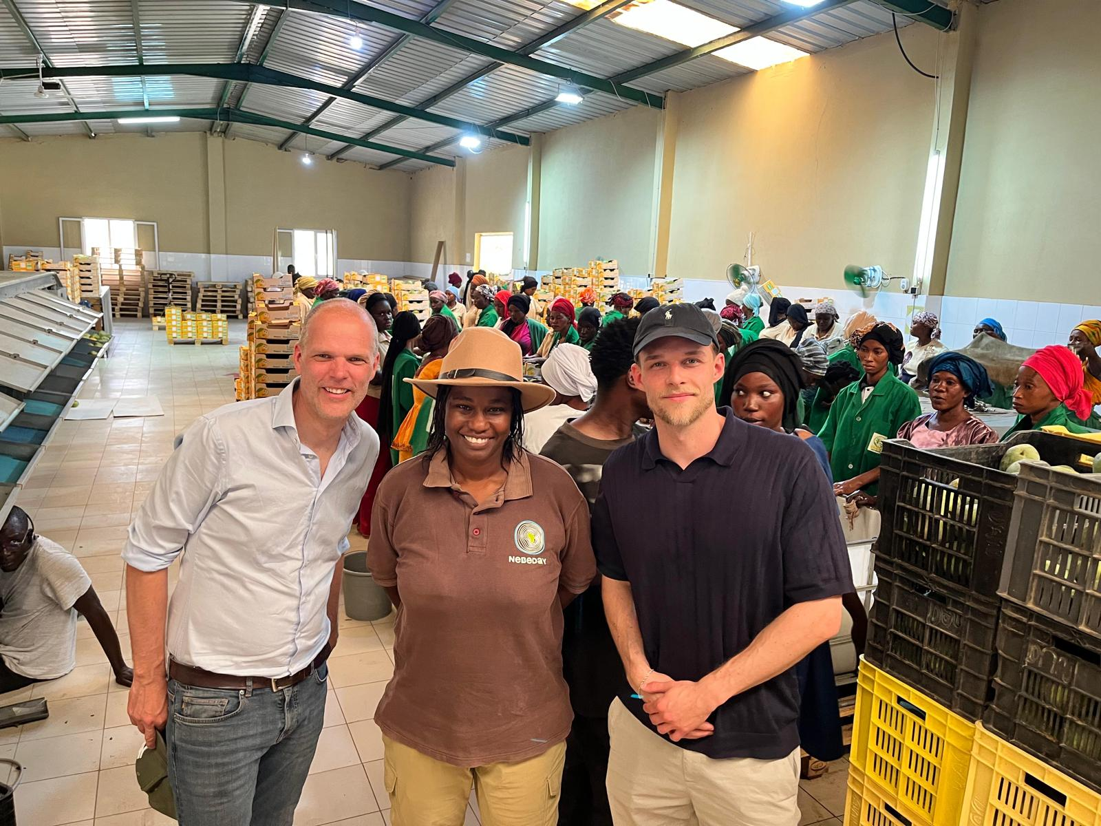 Neue Perspektiven für unser Mangogeschäft in Westafrika