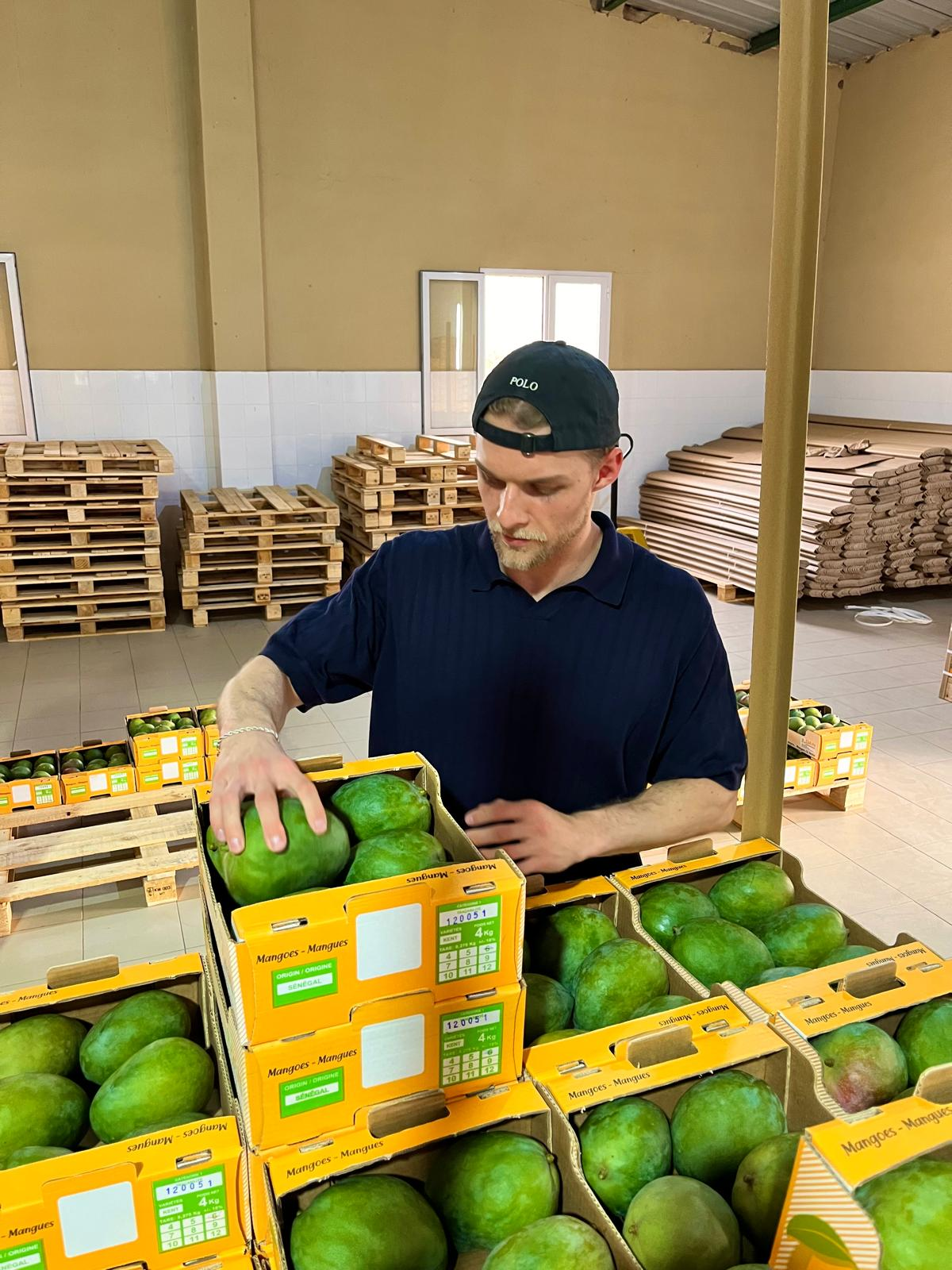 Neue Kühlhäuser stärken unsere Partner in Westafrika