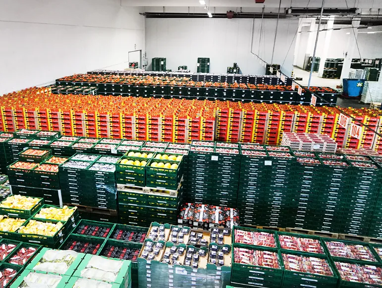 Kommissionierte Ware auf Paletten im temperierten Lager